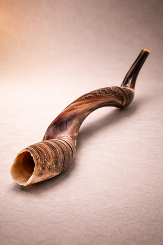 Kudu Shofar – By Yomtov Shalom