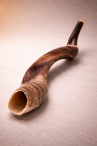 Kudu Shofar – By Yomtov Shalom