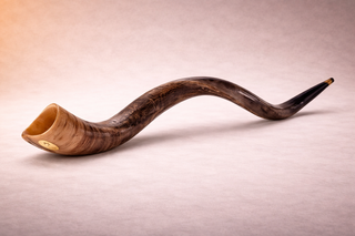 Kudu Shofar – By Kol Shofar