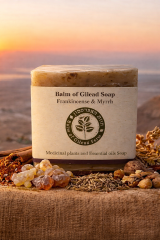 Myrh and Frankincense Soap