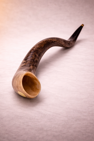 Kudu Shofar – By Kol Shofar
